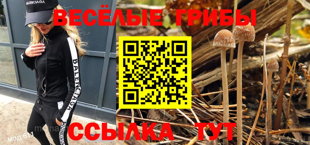 Мытищи  Псилоцибиновые грибы Magic Shrooms  Вход с VPN 